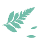 100624sltapkkfakfzumap