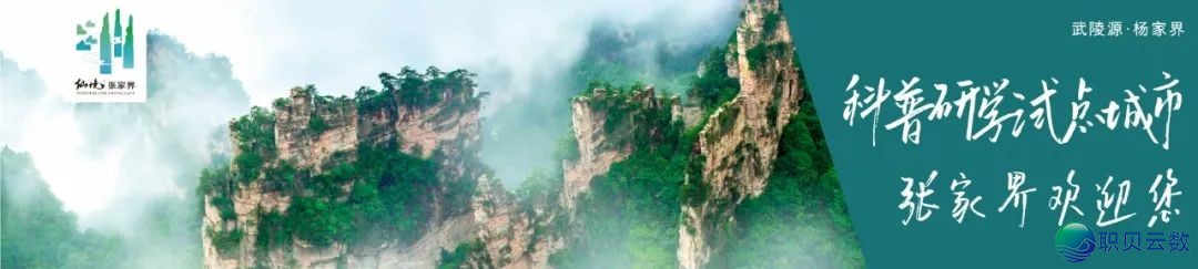 水爆齐网的“DeepSeek”,毕竟是啥?w2.jpg