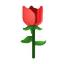 145525gsftja2dtnyddthy