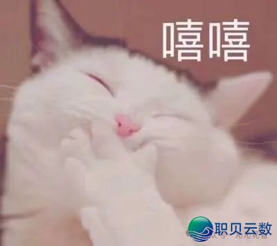 140903wjrnrj8qkmijmanv