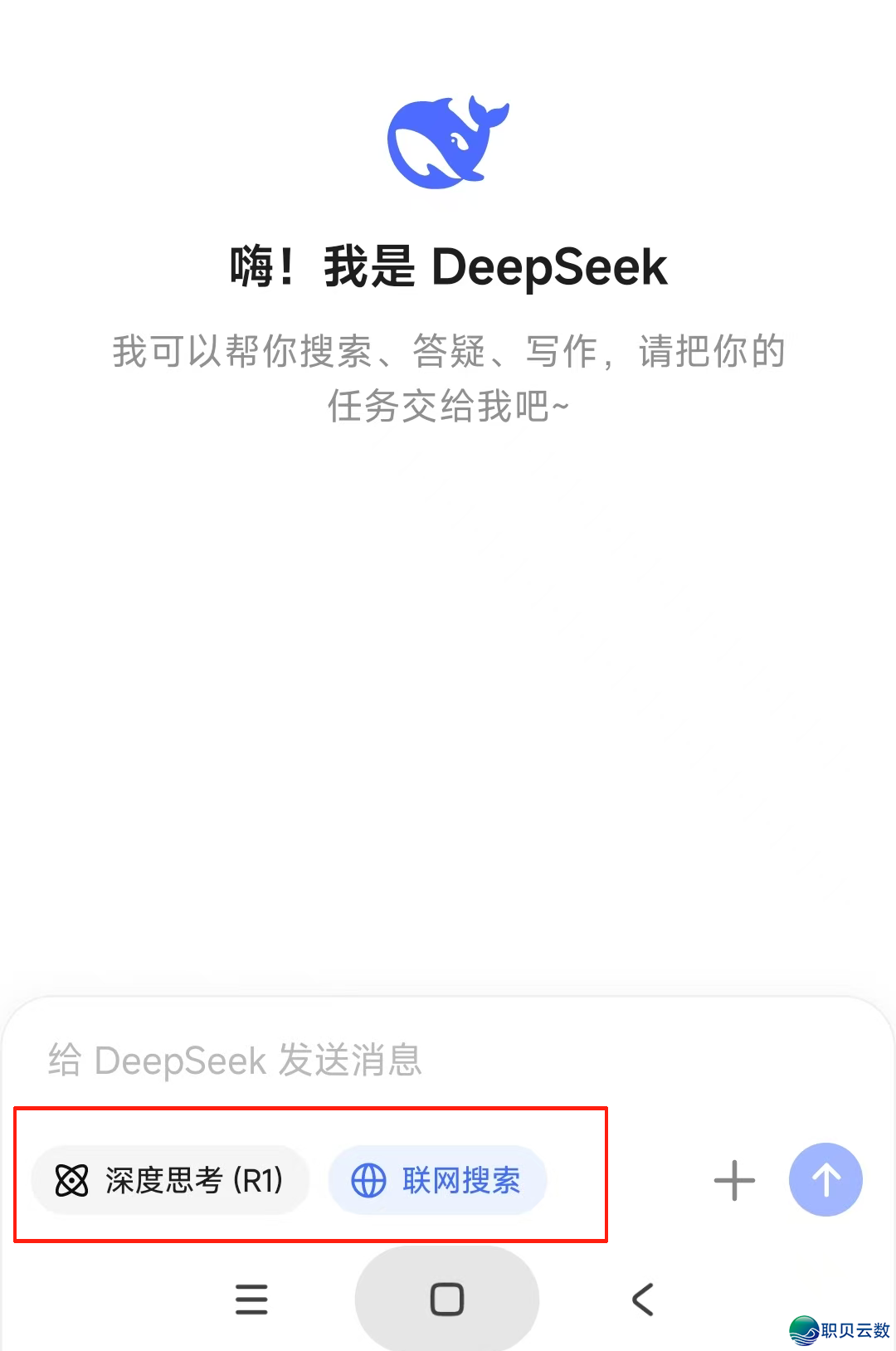 233155c519zxc63xg331r5