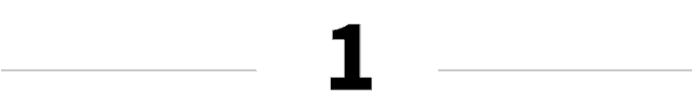 083101fll39ccri8lf99cc