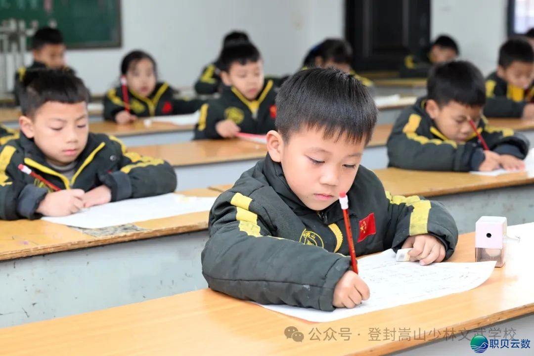 用DeepSeek的望角翻开嵩山少林文武黉舍...w9.jpg