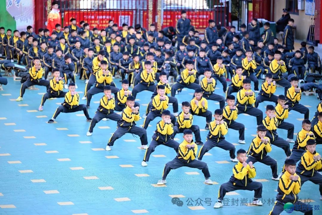 用DeepSeek的望角翻开嵩山少林文武黉舍...w13.jpg