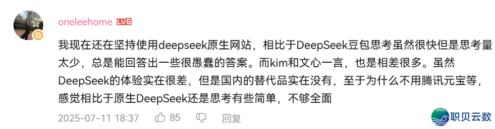 DeepSeek使用率断崖式上涨?w31.jpg
