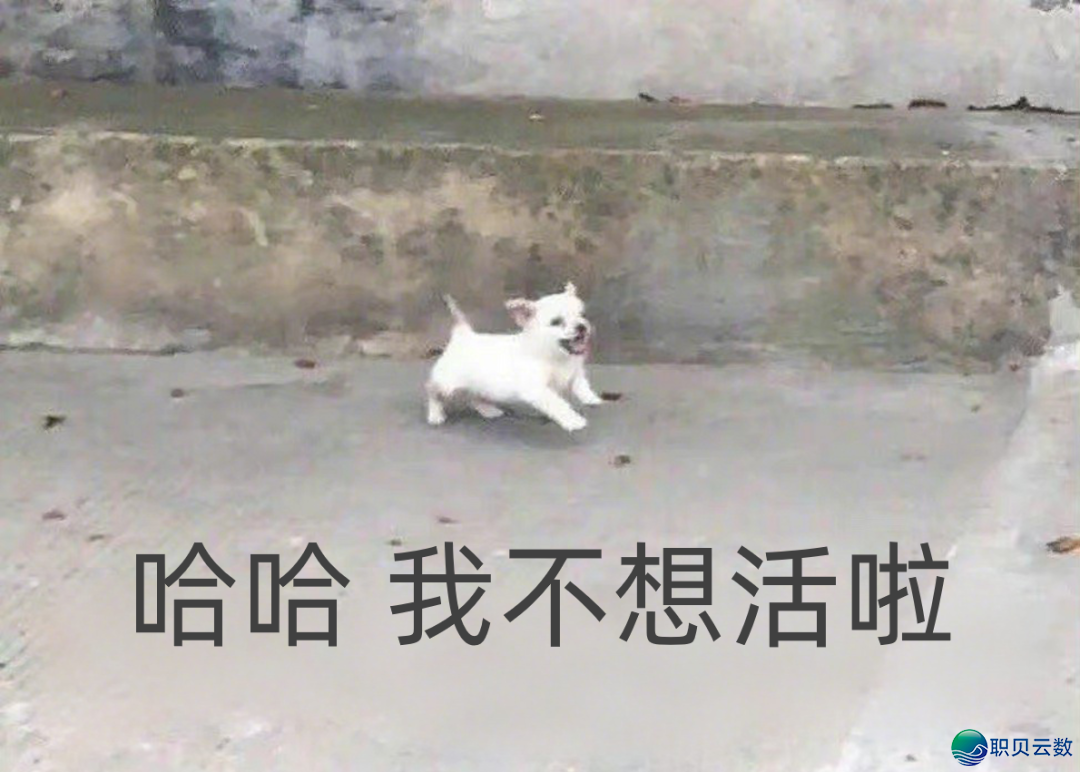 150814xroezbc6vukmrkcm