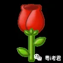 202159kbpn2b1vrvt01a5p