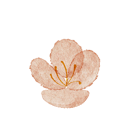 005854hi4s4wg1ndd1i13n