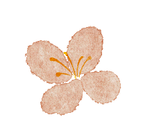 005854n4c3z468468h6g46