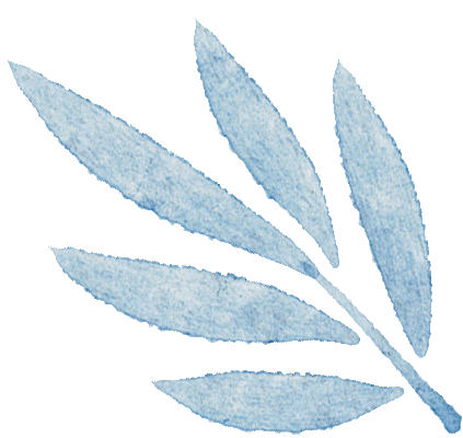 005854vsyl2bpeoeee1bey