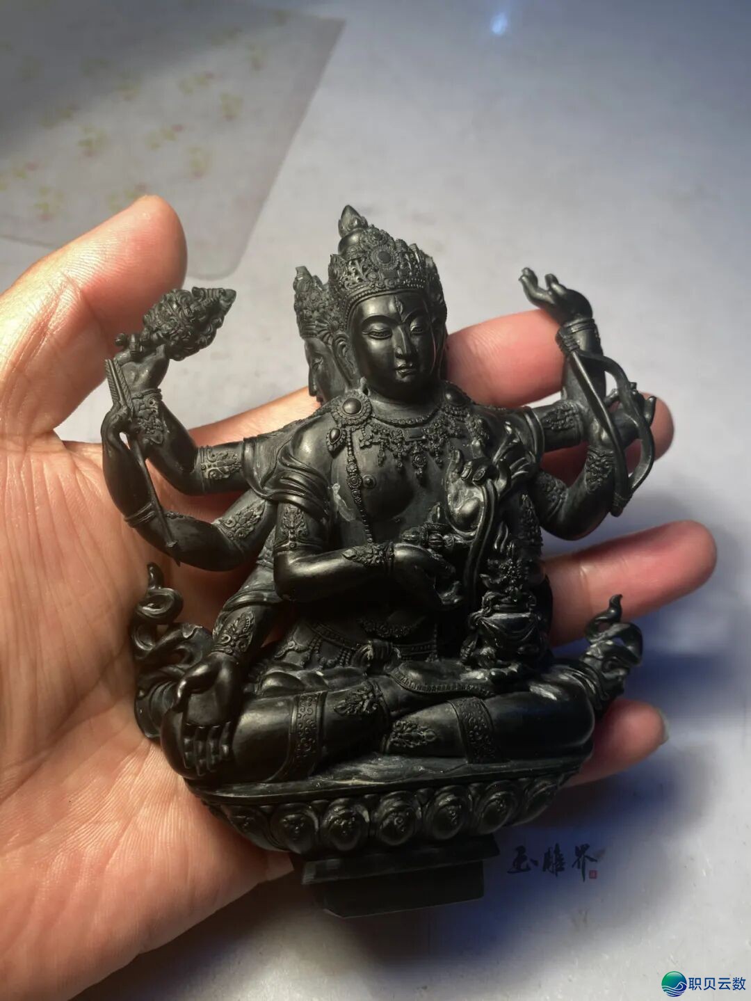 204955ys6v9ssg73avatog