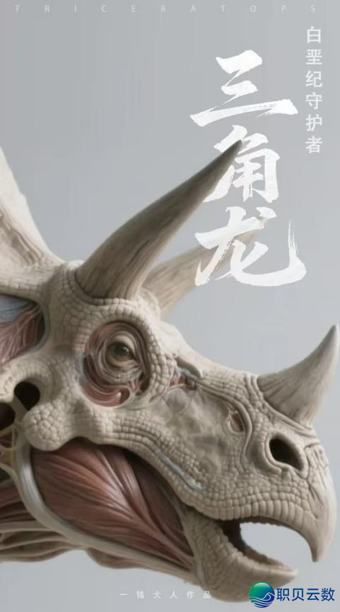 024907izygrgyzw34jwwzy