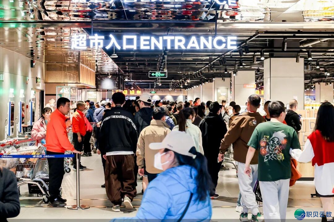 225028t63339r6frmr036r