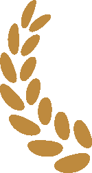 122137id8eud8u2j68kueu