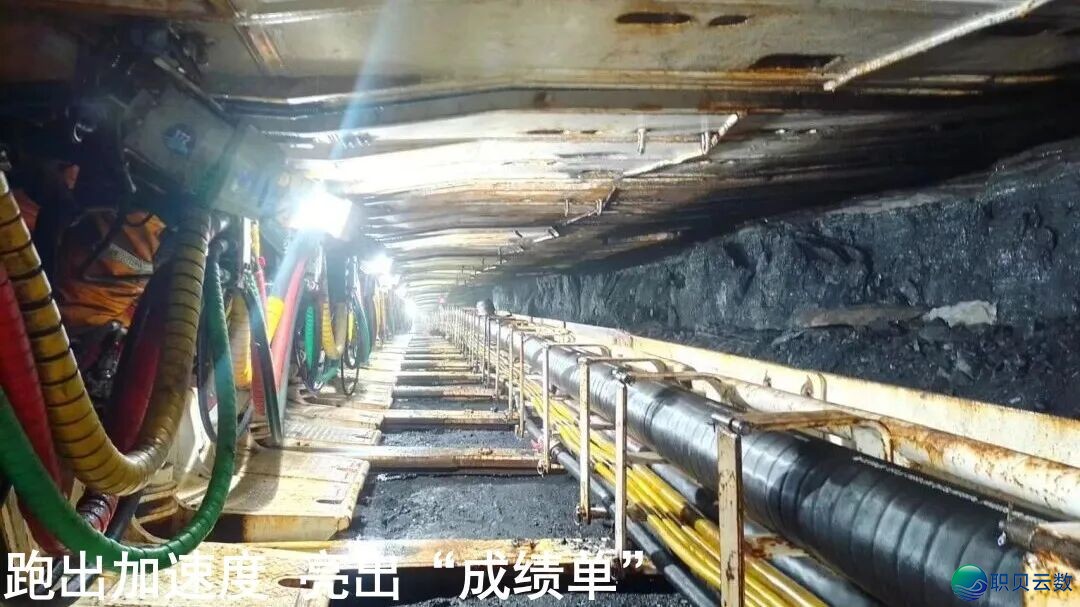 065159uroxkdhdoll336ri