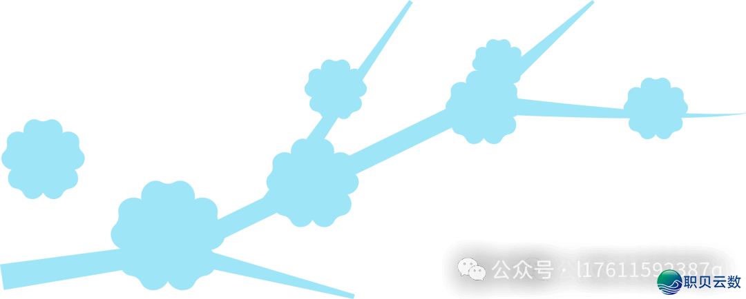 210017zr5xnlz71853k8eg