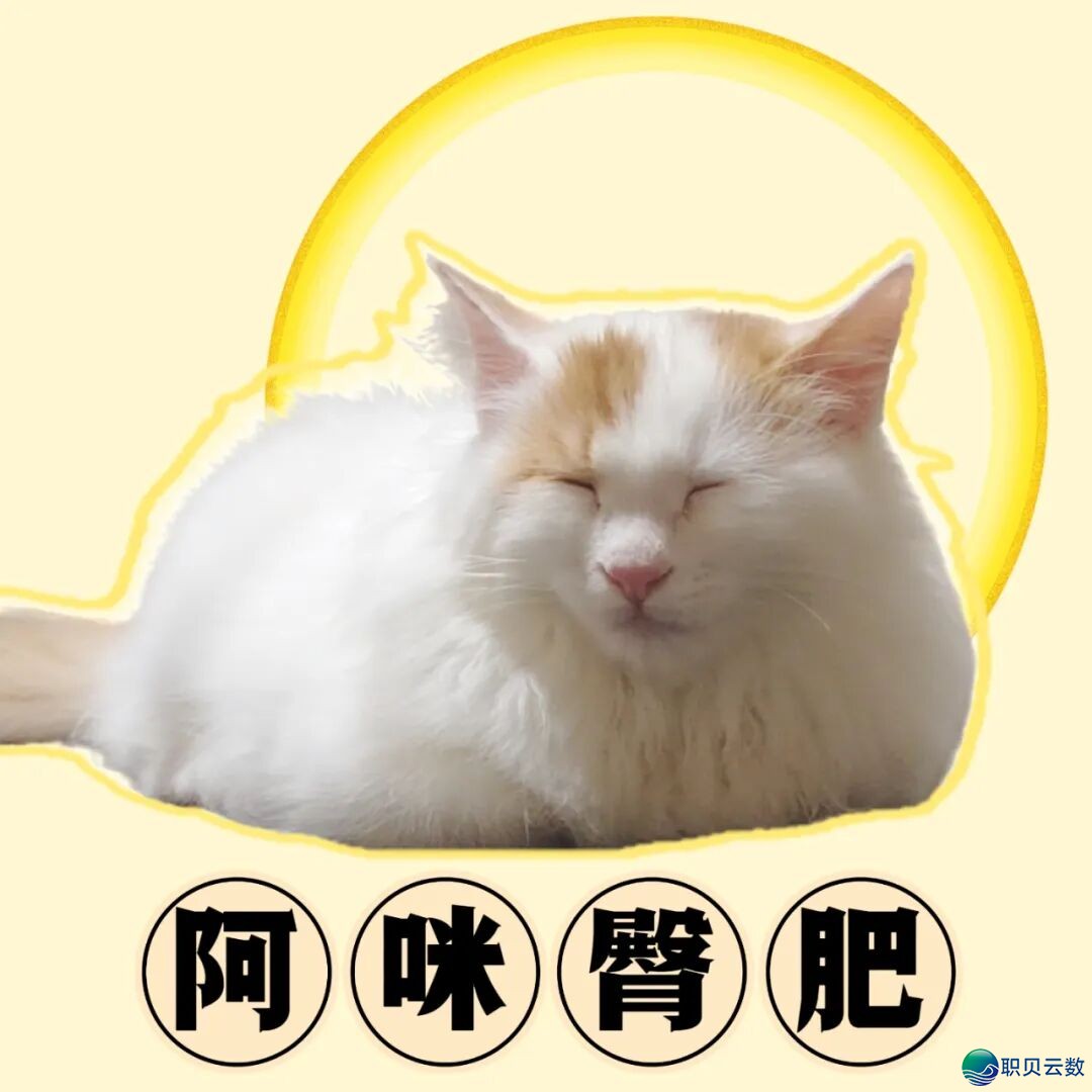 224014ftw9y12g4tt5znz4