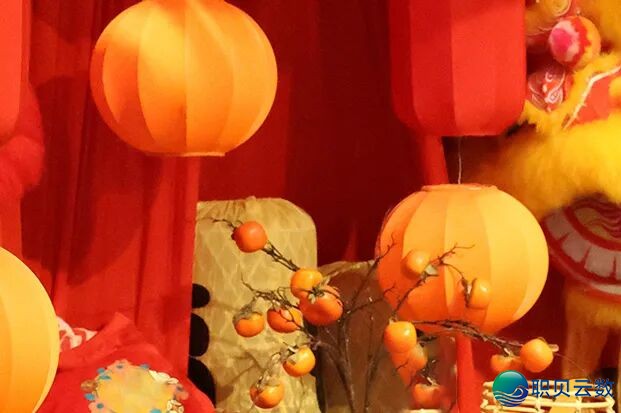 110800vwrqzd5xsxuwmrjg