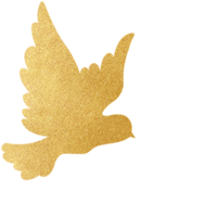 030250sssnus8stf5mzqo2