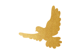 030251vfryfo7s0fb75jra