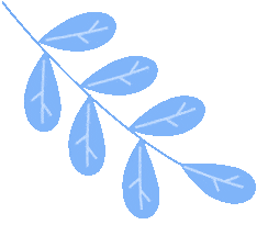 141511utycpoplt8t8btz0