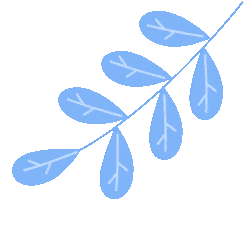 141511yslsxu1muxs9x8mm