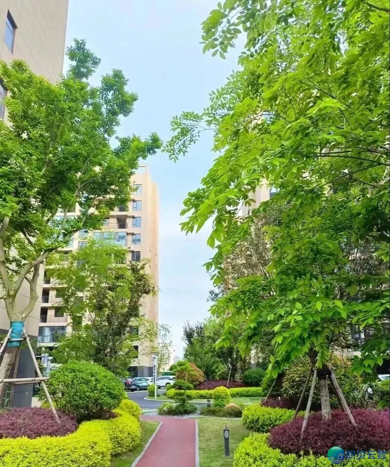 120311pztj3ytrccytp86t