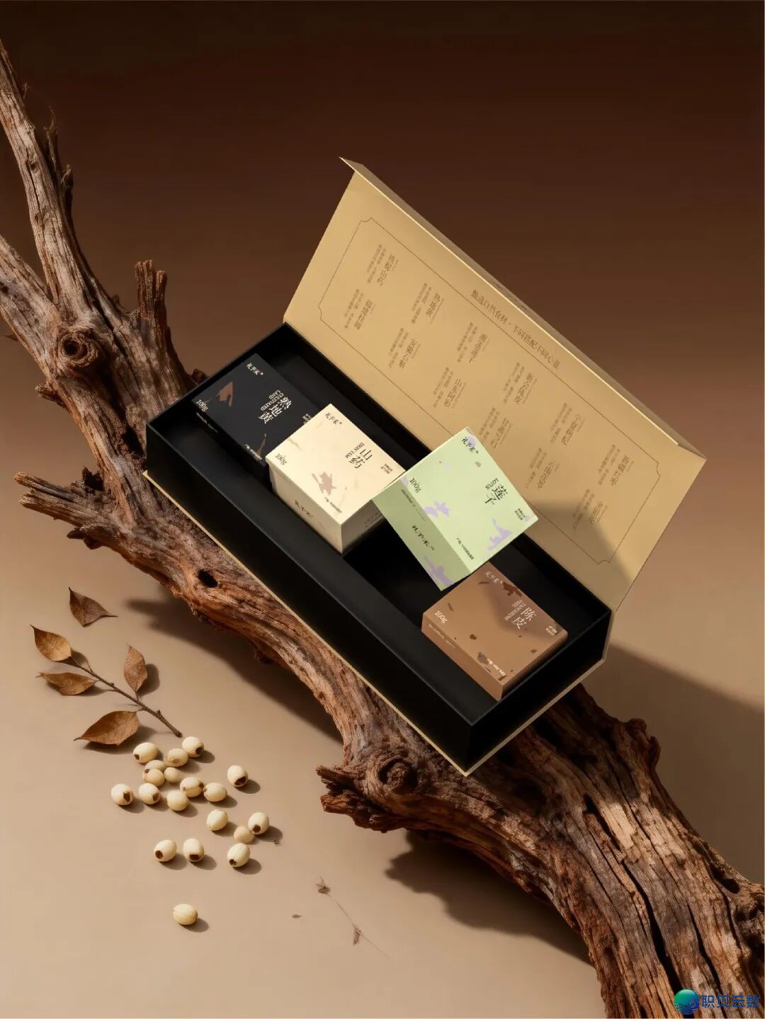 172818nbpvvzvxgsnl2gz4