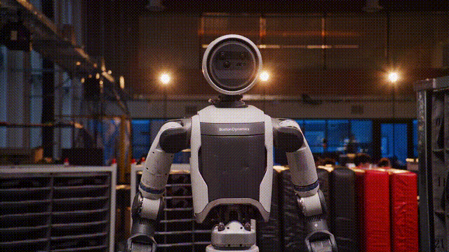 154905hhl6bumlfjhiz8wu