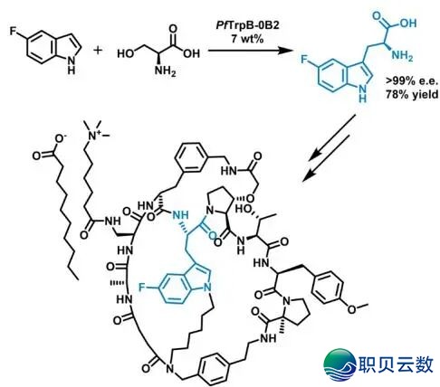 Nature子刊:减州理工突破!AI年夜模子设想出逾越尝试室退步的下活性酶w4.jpg