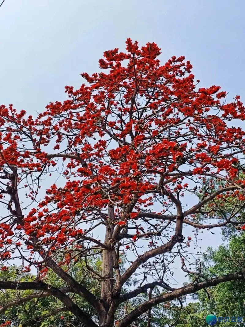 175040f0cgrriayzi0gjqa