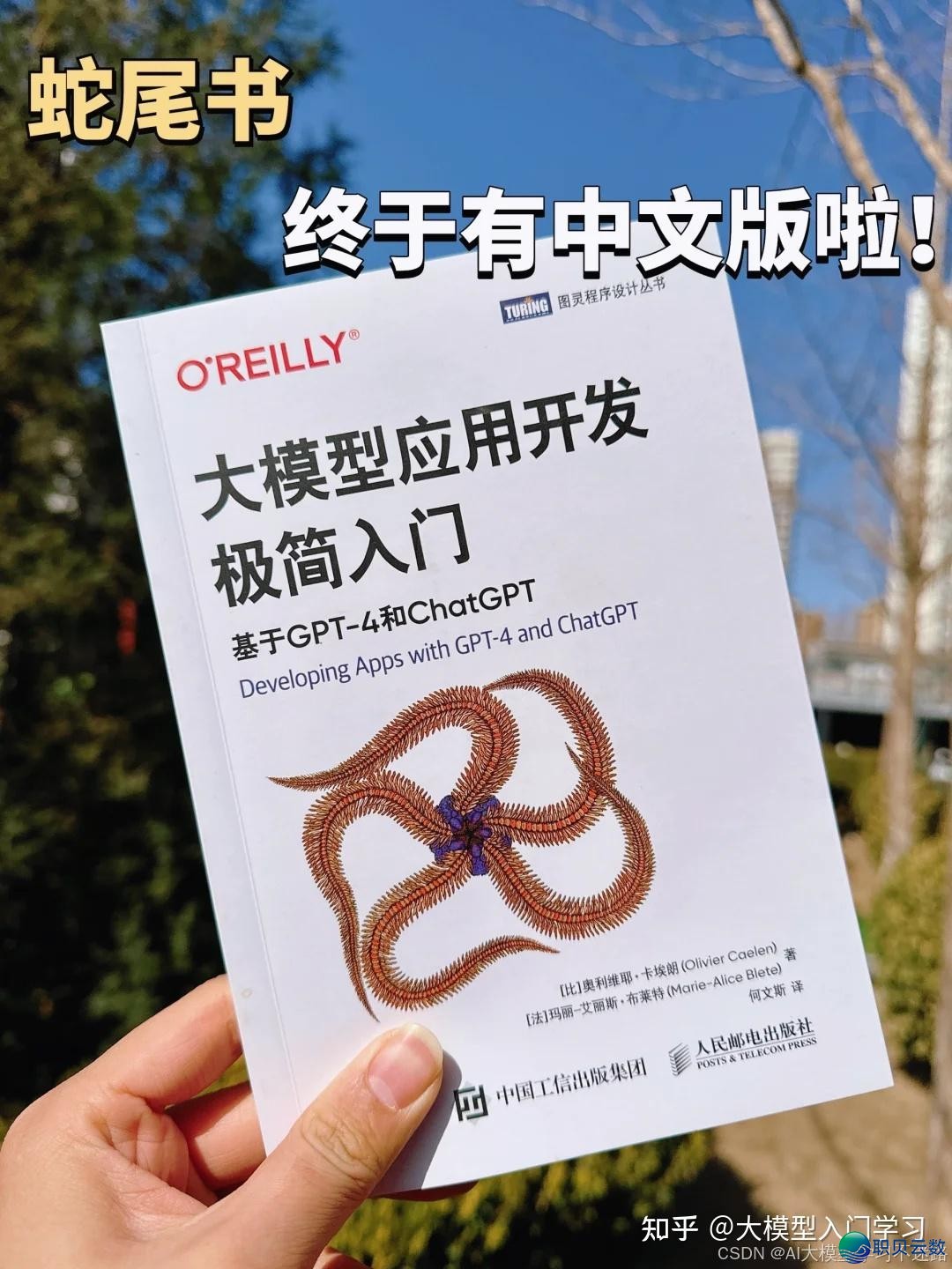 （AI年夜模子册本）保母级学程： 12原不成错过的AI年夜模子开辟宝典-3.jpeg