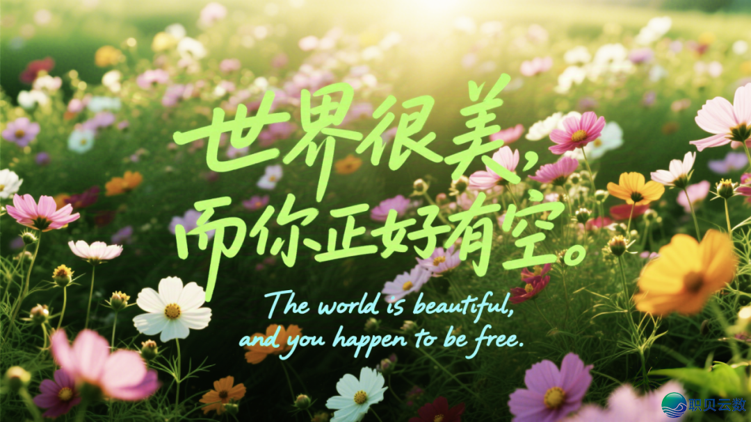 192403fvluiytez5vmuiu0