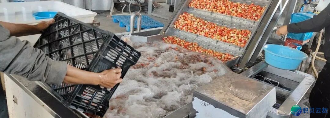 040543fs2vcg192ggg4c97