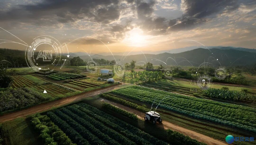 110937pxdmtbp5m4b14t13