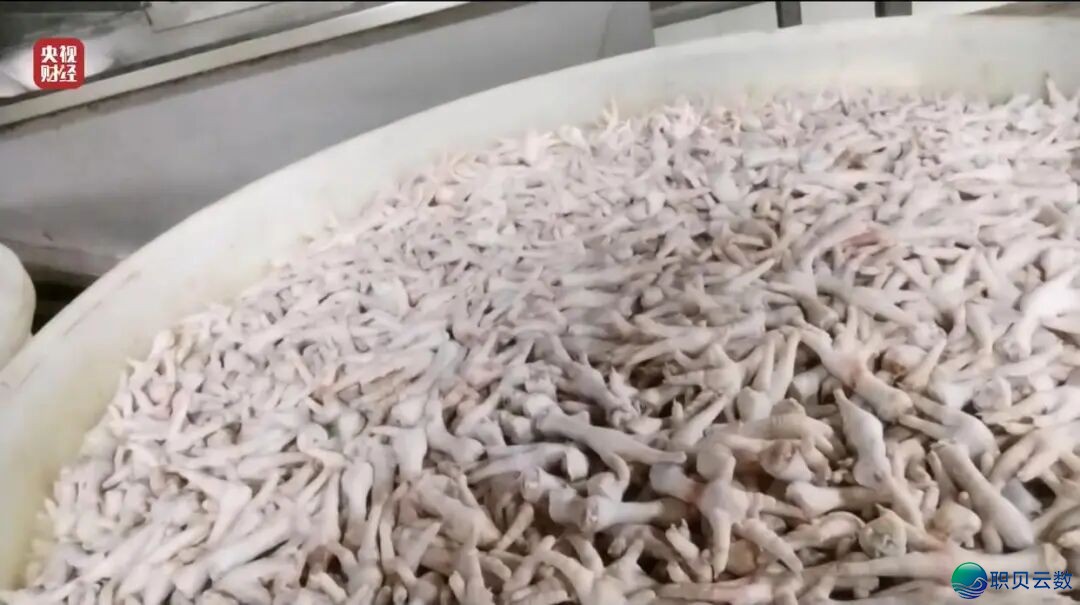 135916xdc5z7k70a5lk0kd