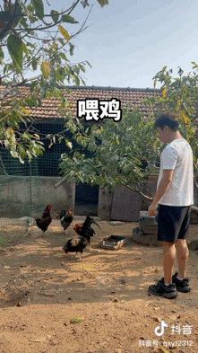 2024年涨粉百万的这些抖音白人，如今皆怎样了？|新榜洞悉