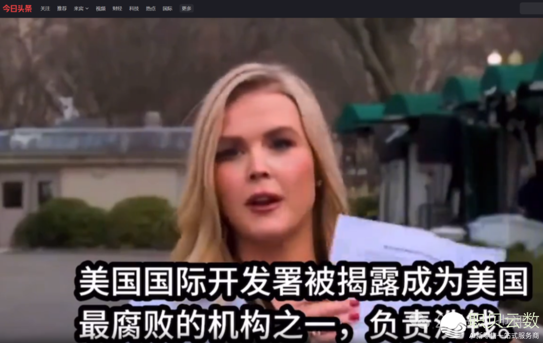 美国养蛊自噬!马斯克捅了马蜂窝